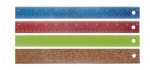 Colored Cork-Backed Ruler